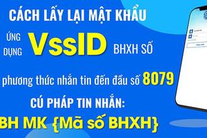 BHXH Việt Nam dừng cung cấp dịch vụ tin nhắn tra cứu qua đầu số 8079