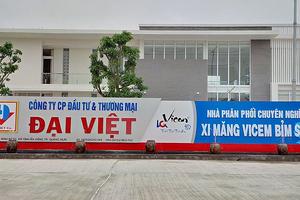 Công ty xi măng Đại Việt đã hoạt động ra sao?