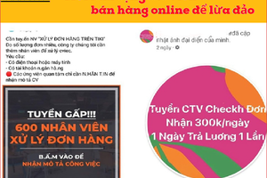 Mất 700 triệu đồng vì tin lời cộng tác viên online hưởng hoa hồng 30%