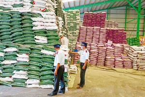 Ban hành quyết định xử phạt vi phạm hành chính chưa kịp thời