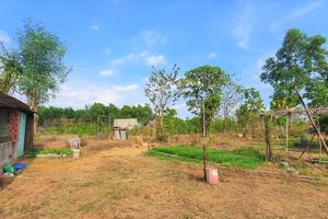 15 năm chưa giải quyết xong khiếu nại đề nghị cấp giấy chứng nhận quyền sử dụng đất