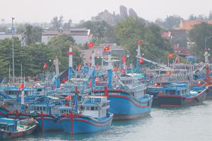 Ninh Thuận: Quyết liệt ngăn chặn khai thác hải sản bất hợp pháp