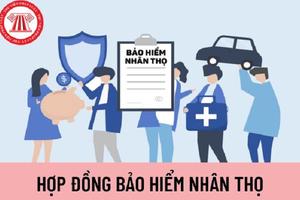 Doanh nghiệp bảo hiểm phải cung cấp các thông tin khách quan, trung thực