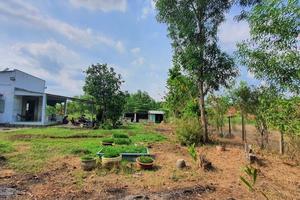 Bài 3: Ông Nguyễn Thanh Bình Chủ tịch UBND xã Bình Hòa vi phạm hàng loạt quy định pháp luật