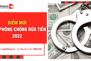 Quy định chi tiết một số điều của Luật Phòng, chống rửa tiền