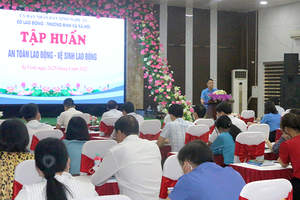 Chú trọng thanh tra, kiểm tra việc thực hiện pháp luật về lao động, an toàn vệ sinh lao động