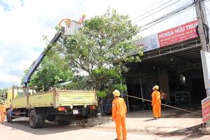   Nỗ lực bảo vệ hành lang an toàn lưới điện cao áp  