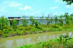 Cần Thơ xác minh, xử lý trường hợp trồng cây, xây nhà đón cao tốc