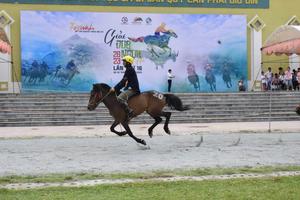 Festival “Vũ điệu cao nguyên trắng” tại huyện Bắc Hà