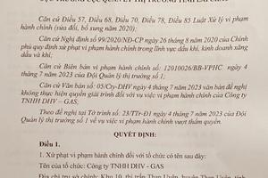 Một đơn vị kinh doanh kim khí bị xử phạt 95 triệu đồng

