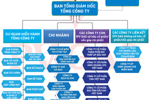 Hoạt động kiểm soát nội bộ trong Tổng Công ty Khí Việt Nam – CTCP

