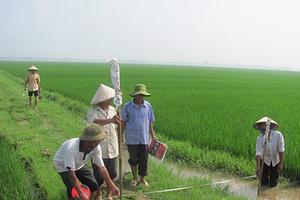 Hưng Yên khởi tố 6 cán bộ cấp xã thu tiền trái quy định khi dồn điền đổi thửa