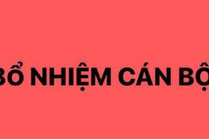 Bổ nhiệm Trợ lý Thủ tướng Chính phủ