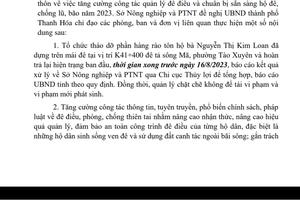 Xử lý dứt điểm vi phạm hành lang đê tả sông Mã