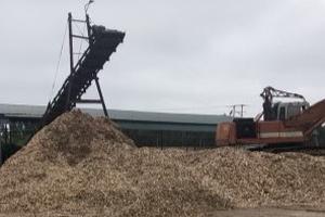 Bị xử phạt 50 triệu đồng do không lập chứng từ kế toán