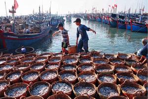Hệ thống giám sát tàu cá đã được triển khai đồng bộ từ Trung ương đến địa phương