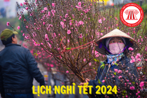 Nghỉ Tết Âm lịch từ 8/2/2024 đến hết ngày 14/2/2024