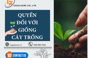 Thuê doanh nghiệp thẩm định giá với giống cây trồng bắt buộc chuyển giao 