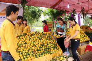 Nỗ lực xây dựng Hòa Bình thành tỉnh phát triển bền vững