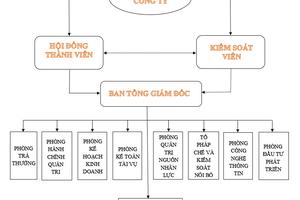 Không có giấy xác nhận đăng ký hoạt động in, Xí nghiệp in Tài chính vẫn nhận in sản phẩm