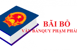 Bãi bỏ một số văn bản quy phạm pháp luật của Chính phủ