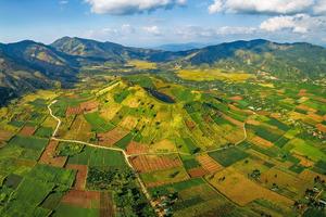 Xanh đồi… Gia Lai