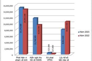 Phát hiện vi phạm về kinh tế hơn 15 tỷ đồng