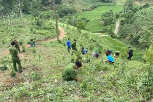 Chủ tịch UBND tỉnh Lào Cai bác đơn khiếu nại của bà Lý Thị Đối