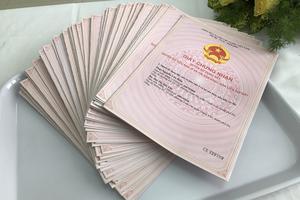 Tố cáo việc cấp giấy chứng nhận không đảm bảo quy định