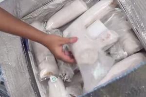 Chuyển cơ quan điều tra vụ nhập lậu tôm hùm hơn 5 tỷ đồng qua đường hàng không