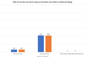 “Chúa chổm” Hòa Bình của đại gia Đường “bia”: 1 đồng vốn, 17 đồng nợ, nợ bảo hiểm 7 tháng