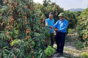 Nâng cao chất lượng tín dụng chính sách trong các tổ chức chính trị - xã hội