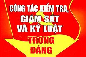 Thi hành kỷ luật 18 đảng viên vi phạm trong tháng 5