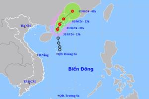 Áp thấp nhiệt đới mạnh lên thành bão số 1, có tên là Maliksi

