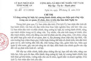  Yêu cầu Thanh tra tỉnh Nghệ An tăng cường triển khai các cuộc thanh tra công vụ