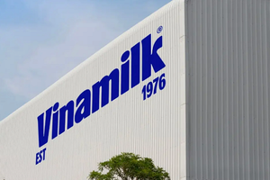 Vinamilk – đại diện duy nhất từ ngành sữa Việt Nam trong danh sách Fortune 500 Đông Nam Á