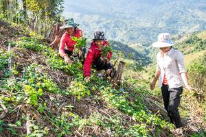 Nhiều quy định về Chương trình Mục tiêu quốc gia giảm nghèo bền vững  chưa được tỉnh Kon Tum thực hiện