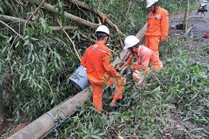 Ngành Điện miền Nam: Cảnh báo nguy cơ mất an toàn điện mùa mưa bão