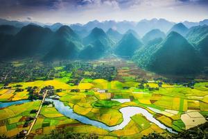 Cơ cấu nông nghiệp theo hướng phát triển hiệu quả cao, sinh thái, bền vững