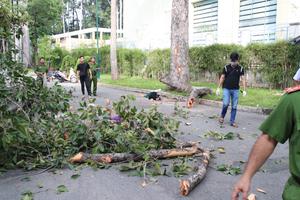 Cành cây lớn rơi trong công viên Tao Đàn, 5 người thương vong