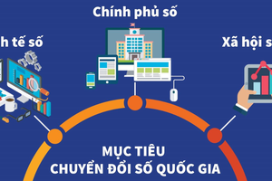 Kết luận Hội nghị Thường trực Chính phủ về chuyển đổi số 