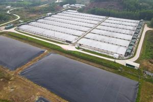 Phát hiện 3 tỷ đồng sai phạm của Công ty TNHH Chăn nuôi Sơn Động