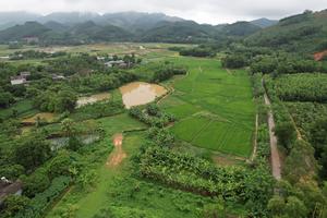 Sơn Dương, Tuyên Quang: Vì sao người dân phải tố cáo đòi đất?