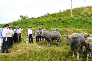 Thành lập đoàn kiểm tra