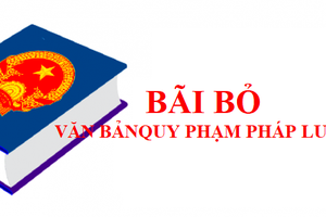 Bãi bỏ toàn bộ 10 nghị định của Chính phủ