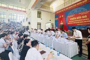 Bộ Tài nguyên và Môi trường kiểm tra đột xuất 2 cuộc đấu giá đất ở Hà Nội