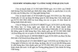 Quảng Nam thành lập đoàn kiểm tra liên quan TCVN ISO 9001:2015 tại các cơ quan hành chính Nhà nước