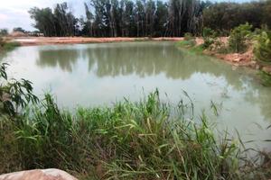 Nhiều giải pháp bảo vệ môi trường trong khai thác khoáng sản