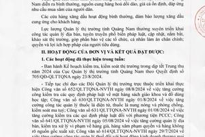 Quảng Nam: Tiến hành 24 vụ kiểm tra thị trường thu nộp ngân sách hơn 230 triệu đồng