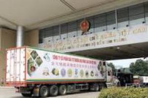 Lạng Sơn: Kim ngạch xuất nhập khẩu  qua địa bàn tỉnh đạt trên 40 tỷ USD